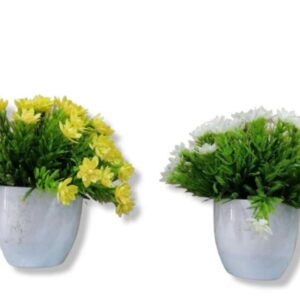 PLANTA EN MACETA 22CM