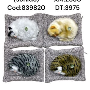 GATO DURMIENDO CON MUSICA