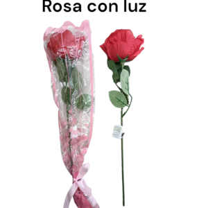 ROSA CON LUZ (600)