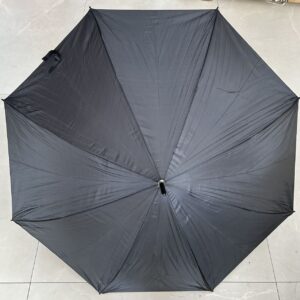 PARAGUA NEGRO