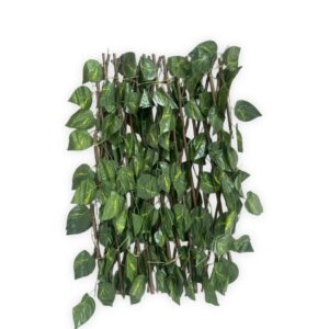 ENREDADERA 70 CM