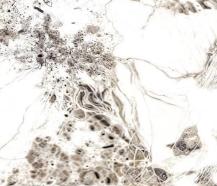 HOGAR ADESIVO PARA PARED 60*60CM LK-083 UNIDAD (120)