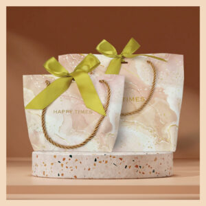 FIESTA BOLSA REGALO 19.5*6.5*14(800)