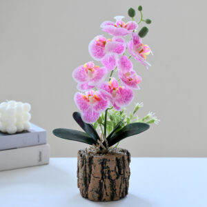 MACETA DE ORQUIDEA 30CM